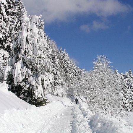 Ferienwohnung Am Eisweiher Titisee-Neustadt Luaran gambar