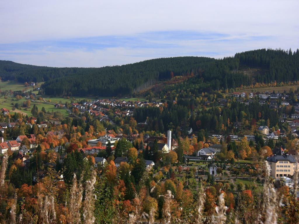 Ferienwohnung Am Eisweiher Titisee-Neustadt Luaran gambar