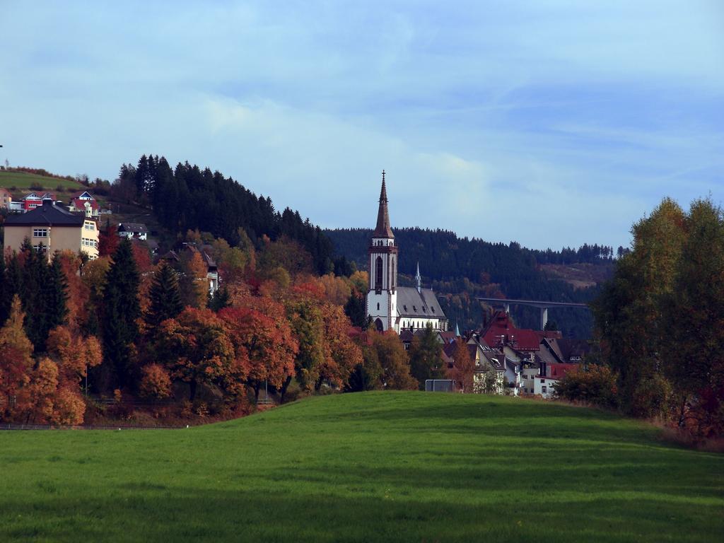 Ferienwohnung Am Eisweiher Titisee-Neustadt Luaran gambar