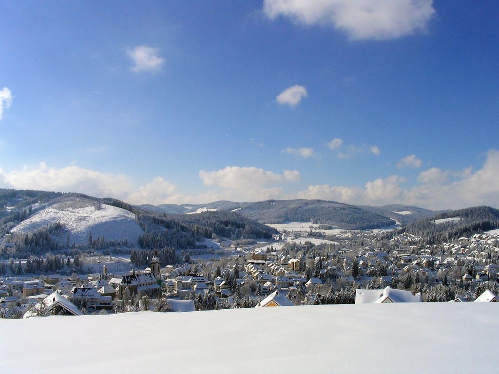 Ferienwohnung Am Eisweiher Titisee-Neustadt Luaran gambar