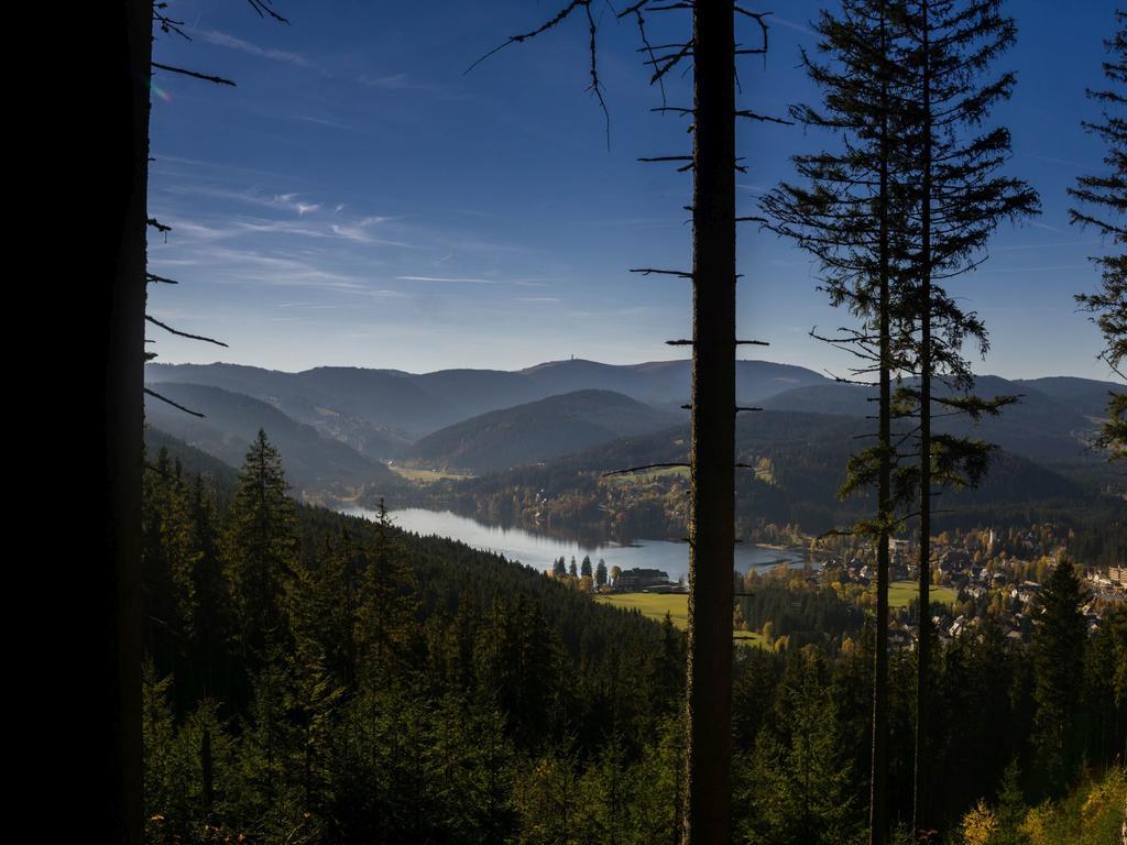 Ferienwohnung Am Eisweiher Titisee-Neustadt Luaran gambar