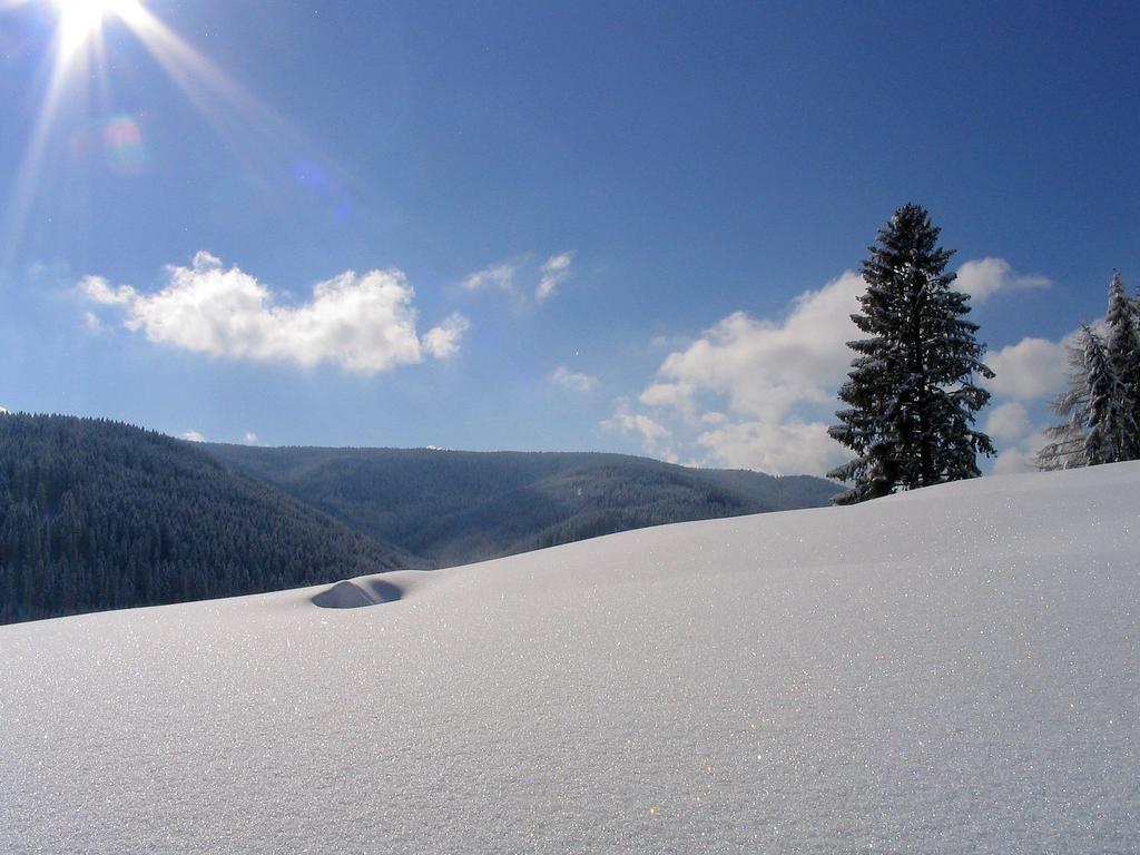 Ferienwohnung Am Eisweiher Titisee-Neustadt Luaran gambar